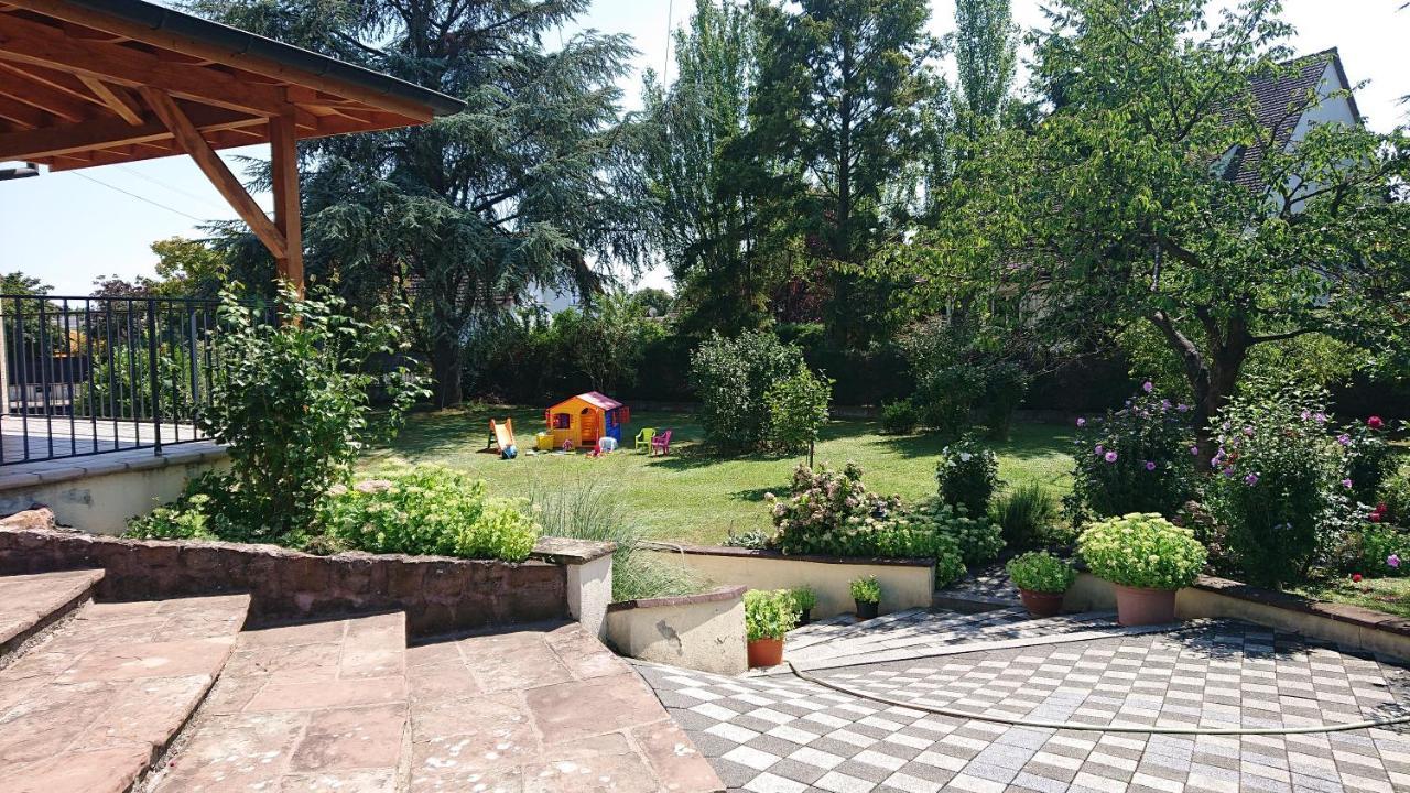 Apartamento Logement Entier: Route Des Vins.Wintzenheim Exterior foto